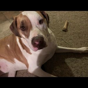 Meet your Posher, Irene